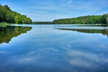 Quiet surface of the lake during sunny summer weather reflects clouds and dense green forest