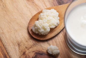 Kefir grains on a wooden spoon with kefir glass.