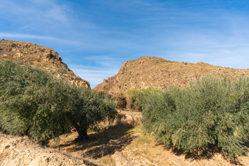 Mountainous landscape near Ugijar (Spain)