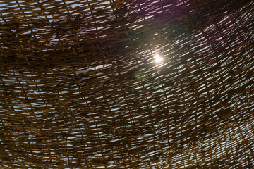 Obraz premium Reed roof. Brown cane stalk background. Background of dry stalks of cane