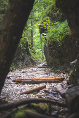 Wild adventure, Hiking trail through canyon in Slovak paradise national park, Slovakia 