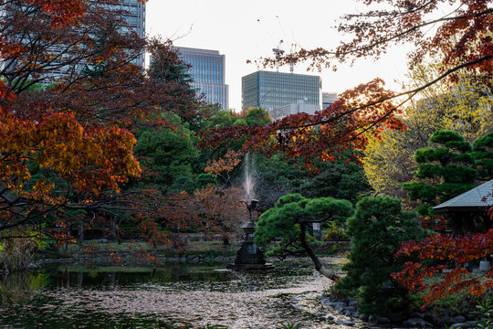 日比谷公園の雲形池の紅葉