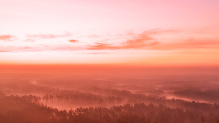 Pink dawn pine over forest drone view