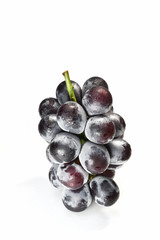 白背景のピオーネ