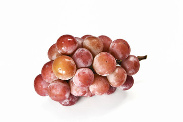 白背景のクリーンニーナ