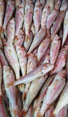 fish, food, market