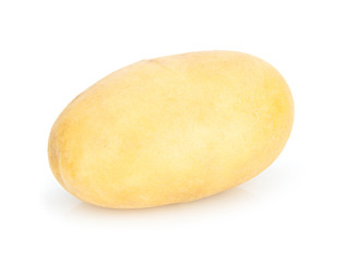 potato isolated on white background