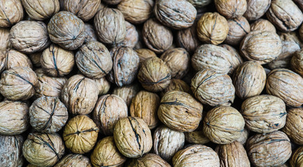 Abundance of walnut with shell seasonal food