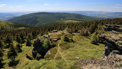 Mountain forest with rocks in the foreground.