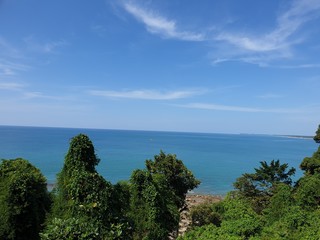 Naklejka premium landscape with palm trees and blue sky