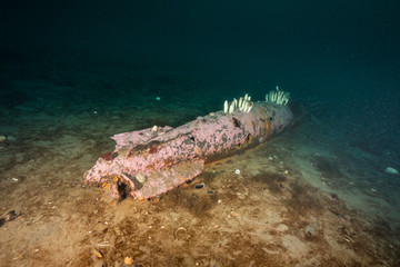 Bell Island ship wreck Newfoundland Canada