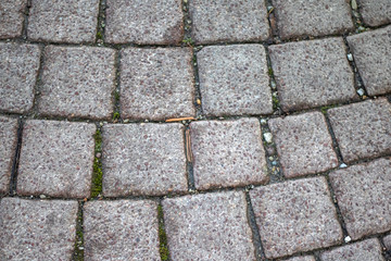 Kopfsteinpflaster
