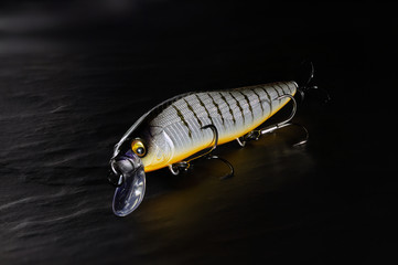 Plastic fishing lure VISION ONE TEN LBO from MEGABASS close-up.