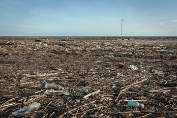 Beach full of plastic bottles and branches after a violent storm