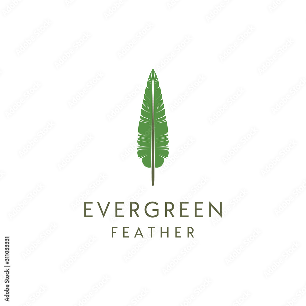 Wall mural feather plume pines evergreen tree forest logo design