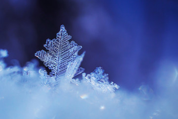 Snowflakes close-up. Macro photo. The concept of winter, cold, beauty of nature. Copy space.