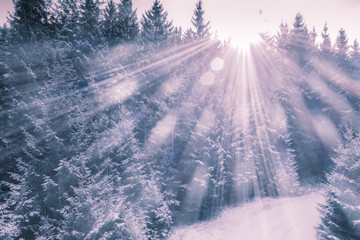 Winterlandschaft im Strahlenenden Sonnenschein