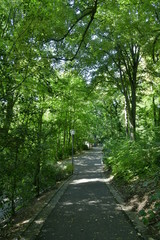 Chemin asphalté sous la végétation luxuriante du parc Josaphat à Bruxelles 