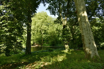 Fototapeta na wymiar La végétation dense et luxuriante dominant l'un des étangs au parc Josaphat à Bruxelles