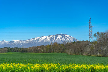Snow capped Mount Iwate with clear blue sky natural background, beauty townscape of Takizawa and Shizukuishi City in springtime season sunny day, Iwate, Tohoku, Japan. Towada-Hachimantai National Park - Powered by Adobe