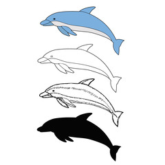 isolated, blue dolphin is swimming, with silhouette and sketch