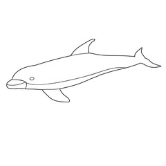 isolated, coloring book dolphin is swimming