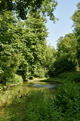 L'un des étang entouré de végétation sauvage au parc Josaphat à Schaerbeek