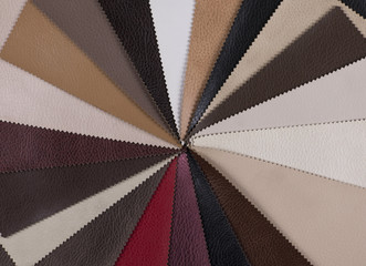 catalog of multi-colored leather for clothing and furniture