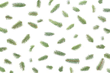 Fir branches pattern background. Green fir branches isolated on white background..
