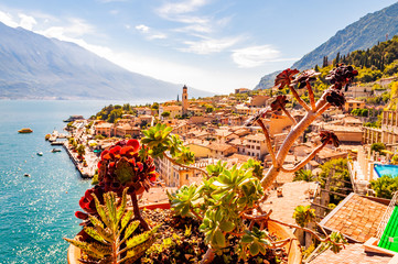 Vibrant succulents growing in a flowerpot on the balcony with Limone Sul Garda cityscape on...