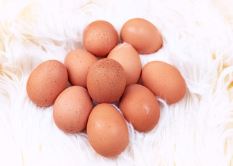 Group of egg put on silk velvet ,blurry light around