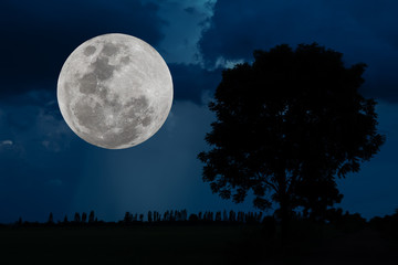 Fototapeta na wymiar Full moon with silhouette tree at night.