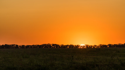 Obraz premium Beautiful Sunset. Sun is getting down behind the trees. Summer evening in Blagoveshchenskaya. Anapa, Russia.