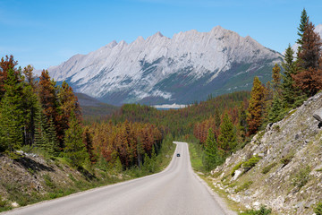 Jasper National Park, Alberta, Canada