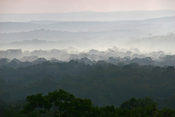 Fog rising over Tikal