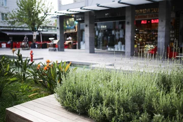 Türaufkleber Plants on shopping street in Kemer, Turkey © natalialeb