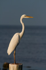 Florida Keys vacation