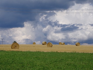 Strohballen auf dem gemähten Getreidefeld