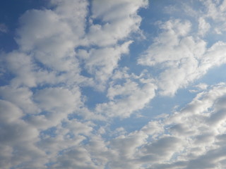 雲