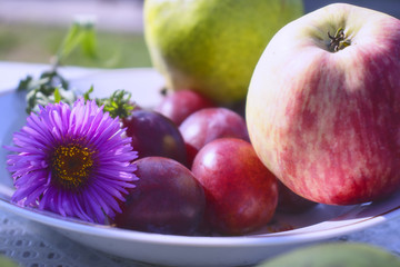 Fragrant apples and sweet plums and pears on a plate standing on the table. Delicious fruits in the warm summer sun.