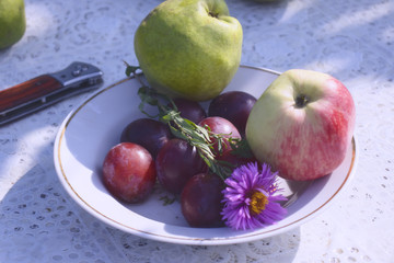 Fragrant apples and sweet plums and pears on a plate standing on the table. Delicious fruits in the warm summer sun.