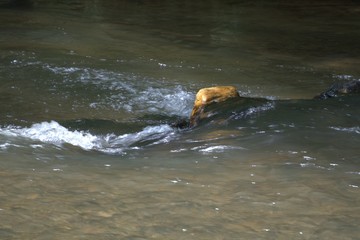 Fototapeta premium GEORGIA OUTDOORS1