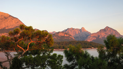 view of sea at sunrise time, mountains and blue sky with a pine branch in the foreground