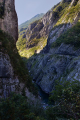 Mountain summer landscape. Canyon in Montenegro.	