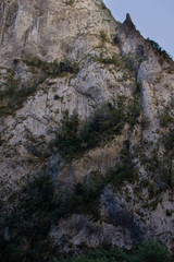 Mountain summer landscape. Canyon in Montenegro.	