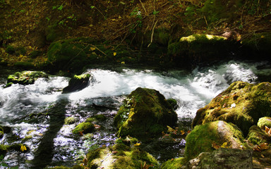 Canyon in Montenegro. Mountain summer landscape. 	