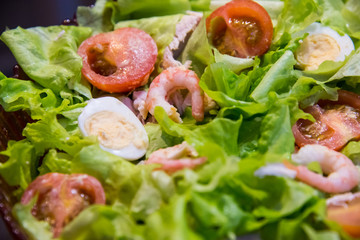 Tomatoes, shrimps, eggs and green salad. Closeup