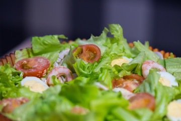 Tomatoes, shrimps, eggs and green salad. Closeup