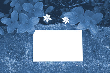 Business card Mockup.Nature concept in Forest. Summer poster. Color of the year 2020 classic blue
