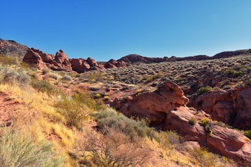 Red Cliffs National Conservation Area Wilderness and Snow Canyon State Park from the  Elephant Arch and bone wash Trail by St George, Utah in desert reserve. United States. USA.